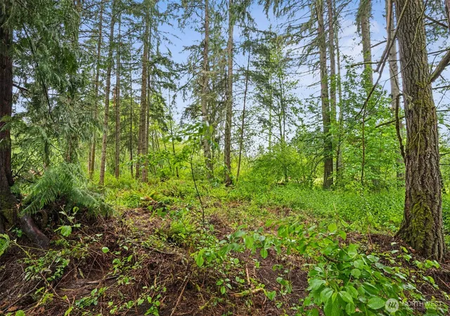 Photo 3 of Land for sale at 922 322nd Street Ct S, Roy, WA 98580 | MLS# NWM2509432 | Listing updated on 2026-09-22
