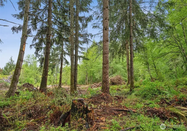 Photo 4 of Land for sale at 922 322nd Street Ct S, Roy, WA 98580 | MLS# NWM2509432 | Listing updated on 2026-09-22