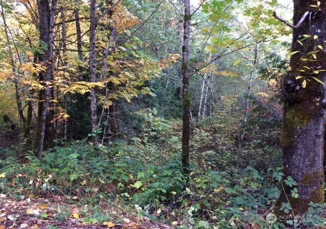 Photo 1 of Land for sale at 25116 Se 146th Street, Issaquah, WA 98027 | MLS# NWM2509596 | Listing updated on 2026-09-21