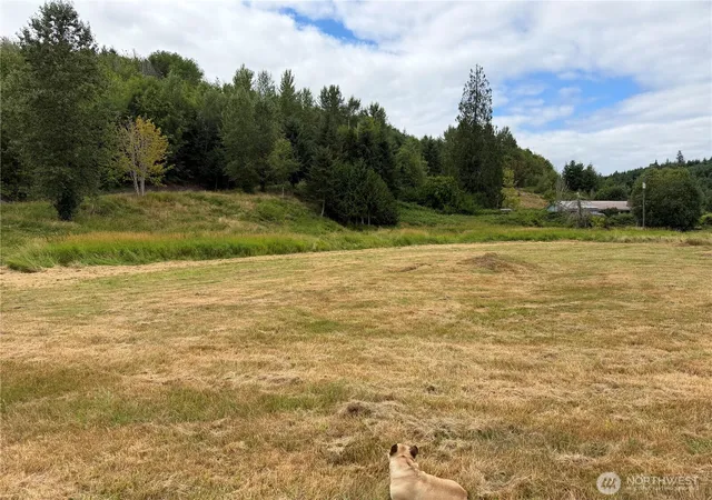 Photo 2 of Land for sale at 102 Seroshek Ln, Centralia, WA 98531 | MLS# NWM2509674 | Listing updated on 2026-09-21