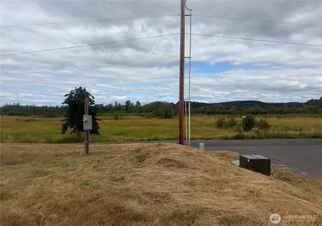 Photo 3 of Land for sale at 102 Seroshek Ln, Centralia, WA 98531 | MLS# NWM2509674 | Listing updated on 2026-09-21