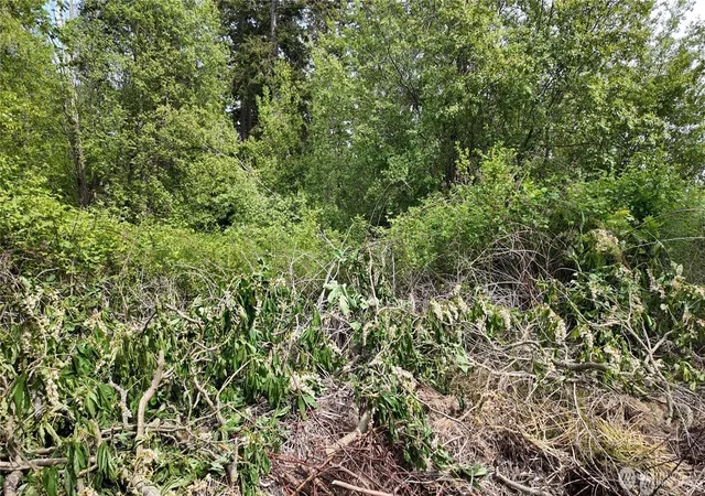 Photo 1 of Land for sale at 0 S Lake Campbell Rd, Anacortes, WA 98221 | MLS# NWM2509702 | Listing updated on 2026-09-21