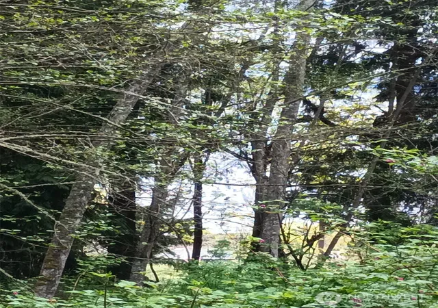 Photo 2 of Land for sale at 16 M Olympic Dr, Hat Island, WA 98206 | MLS# NWM2509719 | Listing updated on 2026-09-21