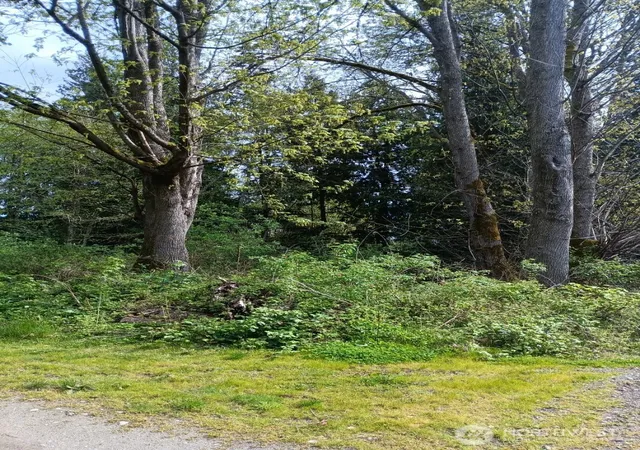 Photo 3 of Land for sale at 16 M Olympic Dr, Hat Island, WA 98206 | MLS# NWM2509719 | Listing updated on 2026-09-21