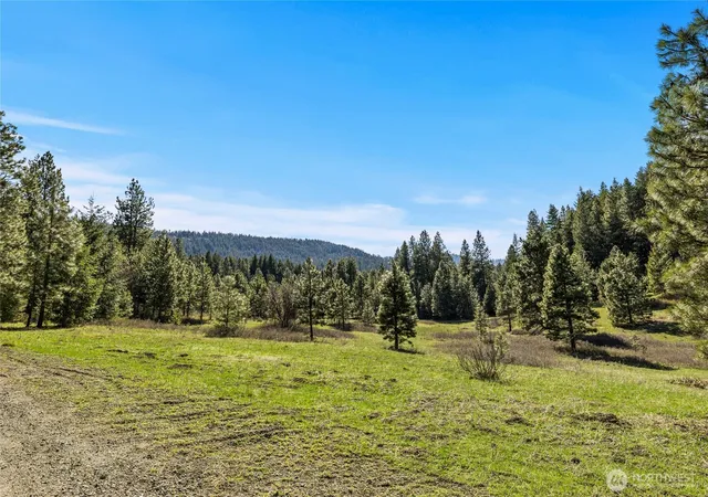 Photo 1 of Land for sale at 0 Xxx Thornton Crk Ln, Cle Elum, WA 98922 | MLS# NWM2509798 | Listing updated on 2026-09-21