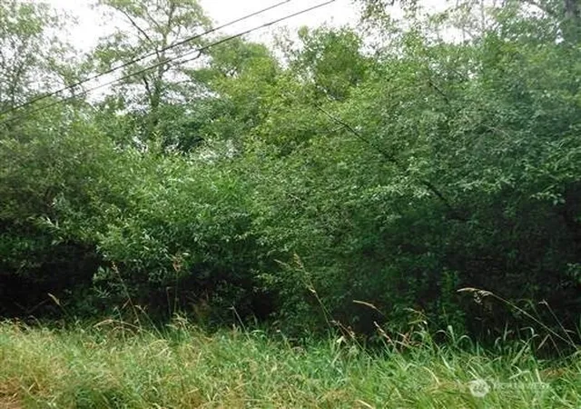 Photo 1 of Land for sale at 2406 Willows Rd, Seaview, WA 98644 | MLS# NWM2509840 | Listing updated on 2026-09-21