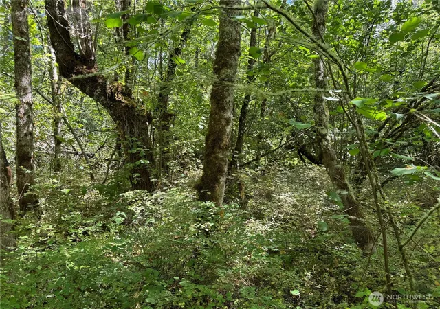Photo 1 of Land for sale at 0 Chuckawa Ln Se, Yelm, WA 98597 | MLS# NWM2509945 | Listing updated on 2026-09-21