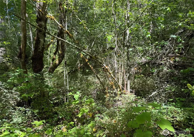 Photo 2 of Land for sale at 0 Chuckawa Ln Se, Yelm, WA 98597 | MLS# NWM2509945 | Listing updated on 2026-09-21