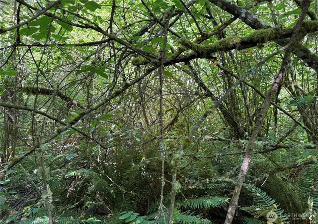 Photo 3 of Land for sale at 0 Chuckawa Ln SE, Yelm, WA 98597 | MLS# NWM2509945 | Listing updated on 2026-09-21