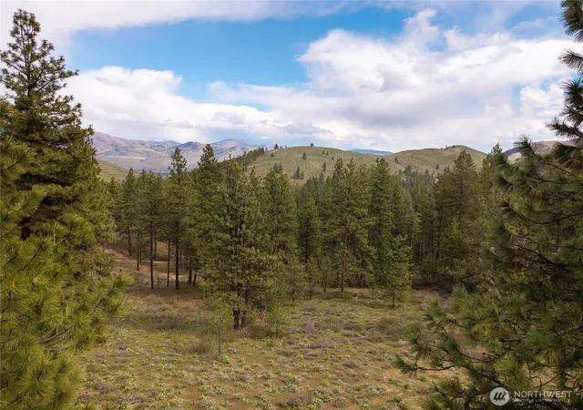 Photo 1 of Land for sale at 9 Whitebark Ln, Winthrop, WA 98862 | MLS# NWM2510123 | Listing updated on 2026-09-21