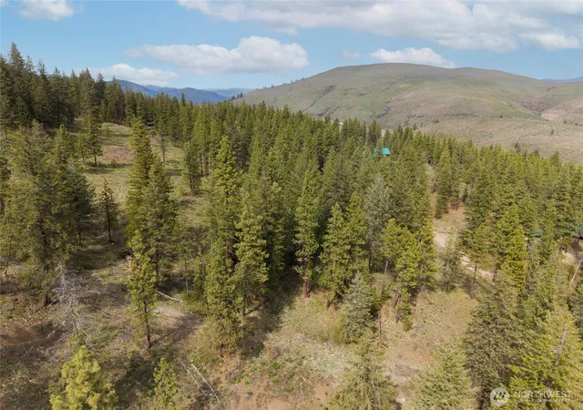 Photo 3 of Land for sale at 9 Whitebark Ln, Winthrop, WA 98862 | MLS# NWM2510123 | Listing updated on 2026-09-21