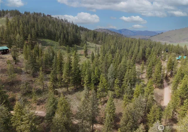 Photo 3 of Land for sale at 9 Whitebark Ln, Winthrop, WA 98862 | MLS# NWM2510123 | Listing updated on 2026-09-21