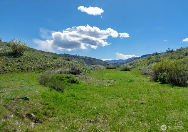Photo 2 of Land for sale at 16 Dancing Bear Rd, Carlton, WA 98814 | MLS# NWM2510153 | Listing updated on 2026-09-21