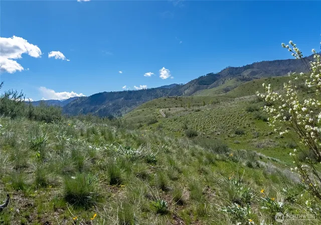 Photo 3 of Land for sale at 16 Dancing Bear Rd, Carlton, WA 98814 | MLS# NWM2510153 | Listing updated on 2026-09-21