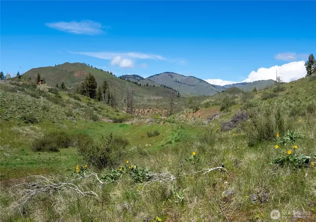 Photo 3 of Land for sale at 16 Dancing Bear Rd, Carlton, WA 98814 | MLS# NWM2510153 | Listing updated on 2026-09-21
