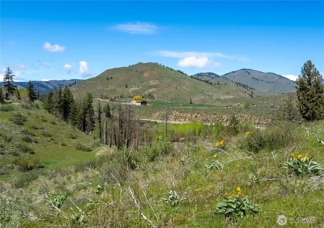 Photo 4 of Land for sale at 16 Dancing Bear Rd, Carlton, WA 98814 | MLS# NWM2510153 | Listing updated on 2026-09-21