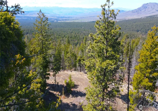 Photo 1 of Land for sale at 32 1 Twin Creeks Ranch, Riverside, WA 98849 | MLS# NWM2510175 | Listing updated on 2026-09-21