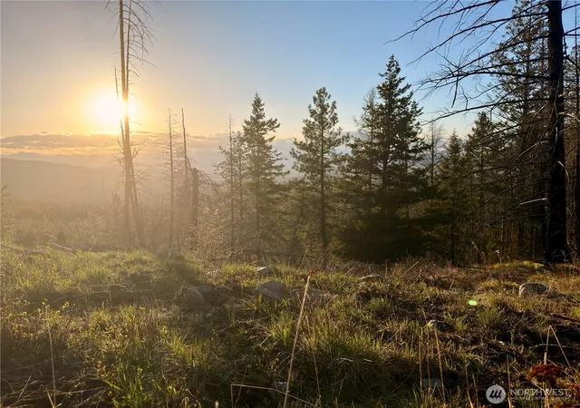Photo 1 of Land for sale at 32 1 Twin Creeks Ranch, Riverside, WA 98849 | MLS# NWM2510175 | Listing updated on 2026-10-21
