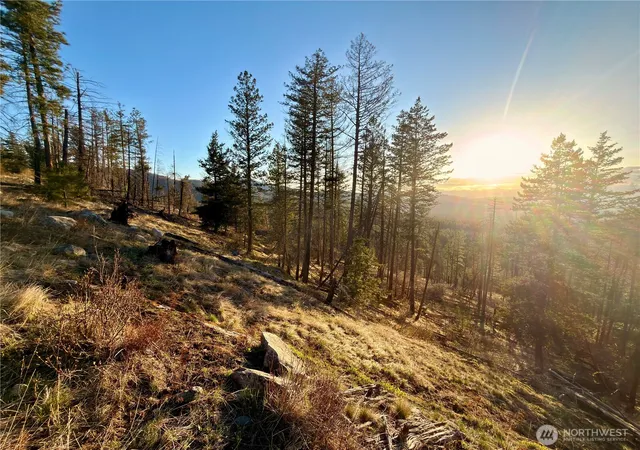 Photo 3 of Land for sale at 32 1 Twin Creeks Ranch, Riverside, WA 98849 | MLS# NWM2510175 | Listing updated on 2026-09-21