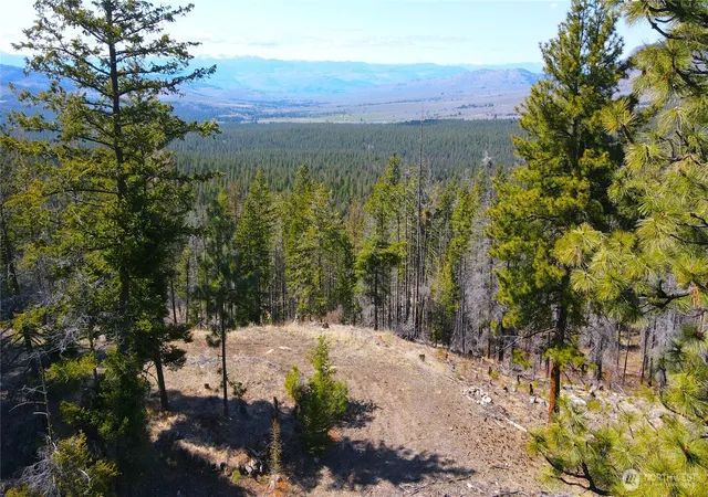 Photo 4 of Land for sale at 32 1 Twin Creeks Ranch, Riverside, WA 98849 | MLS# NWM2510175 | Listing updated on 2026-09-21