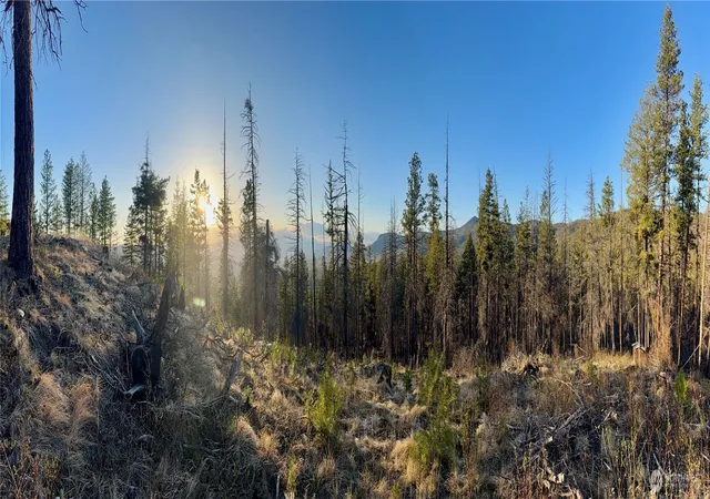 Photo 1 of Land for sale at 213 Crawfish Vista, Riverside, WA 98849 | MLS# NWM2510185 | Listing updated on 2026-09-21