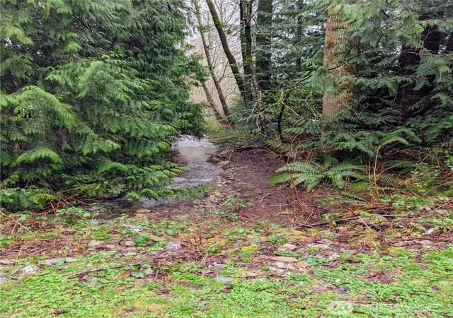 Photo 4 of Land for sale at 3014 Cedar Ln, Sedro Woolley, WA 98284 | MLS# NWM2510234 | Listing updated on 2026-09-21