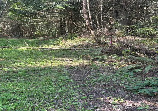 Photo 3 of Land for sale at 9999 Pristine Ln Lot 3, Port Angeles, WA 98362 | MLS# NWM2510362 | Listing updated on 2026-09-21