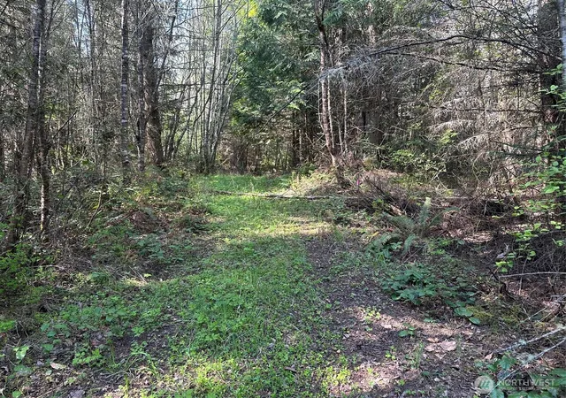 Photo 3 of Land for sale at 9999 Pristine Ln Lot 3, Port Angeles, WA 98362 | MLS# NWM2510362 | Listing updated on 2026-09-21