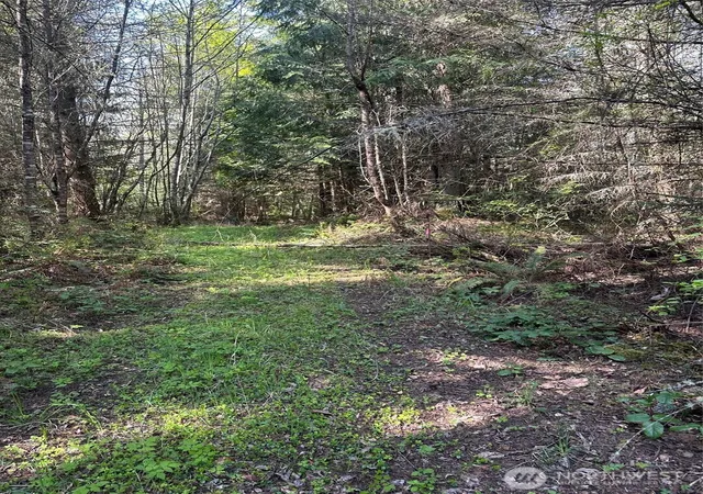 Photo 4 of Land for sale at 9999 Pristine Ln Lot 3, Port Angeles, WA 98362 | MLS# NWM2510362 | Listing updated on 2026-09-21