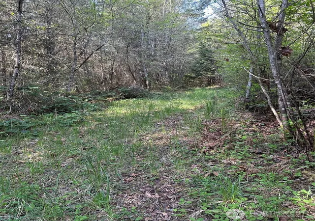 Photo 2 of Land for sale at 9999 Pristine Ln Lot 1, Port Angeles, WA 98362 | MLS# NWM2510365 | Listing updated on 2026-09-21