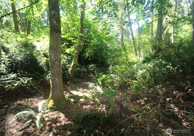 Photo 1 of Land for sale at 28686 141st Avenue Sw, Vashon, WA 98070 | MLS# NWM2510394 | Listing updated on 2026-09-21
