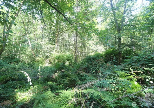 Photo 3 of Land for sale at 28686 141st Avenue Sw, Vashon, WA 98070 | MLS# NWM2510394 | Listing updated on 2026-09-21