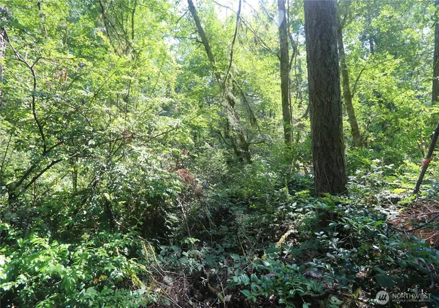 Photo 3 of Land for sale at 28686 141st Avenue SW, Vashon, WA 98070 | MLS# NWM2510394 | Listing updated on 2026-09-21