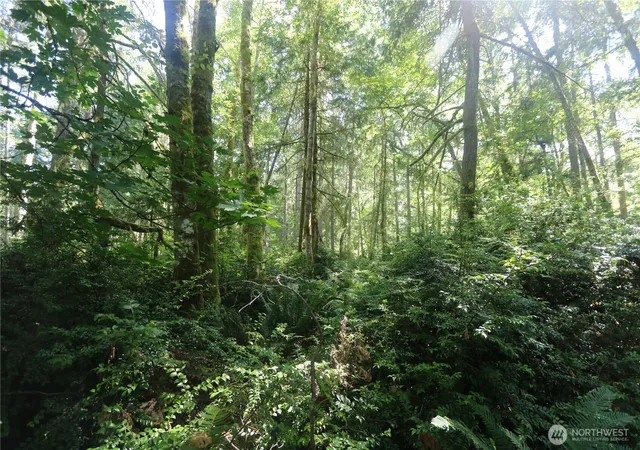 Photo 4 of Land for sale at 28686 141st Avenue SW, Vashon, WA 98070 | MLS# NWM2510394 | Listing updated on 2026-09-21