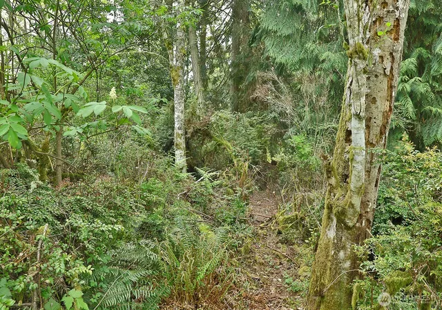 Photo 1 of Sale Pending at 0 Xxx Goss Lake Rd, Langley, WA 98260 | MLS# NWM2510509 | Listing updated on 2026-10-02