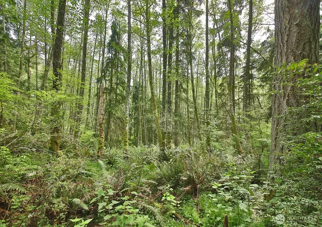 Photo 4 of Sale Pending at 0 Xxx Goss Lake Rd, Langley, WA 98260 | MLS# NWM2510509 | Listing updated on 2026-10-02