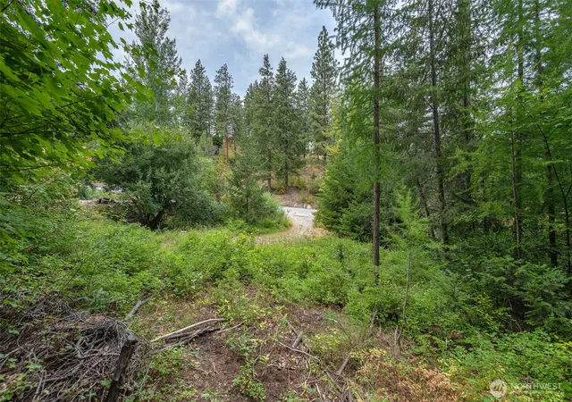 Photo 3 of Land for sale at 6409 Forest Ridge Dr, Wenatchee, WA 98801 | MLS# NWM2510597 | Listing updated on 2026-09-21