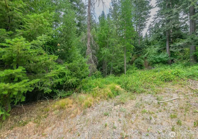 Photo 4 of Land for sale at 6409 Forest Ridge Dr, Wenatchee, WA 98801 | MLS# NWM2510597 | Listing updated on 2026-09-21