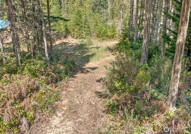 Photo 3 of Land for sale at 60 N Beaver Pl, Hoodsport, WA 98548 | MLS# NWM2510672 | Listing updated on 2026-09-21