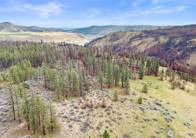 Photo 2 of Land for sale at 36480 Western Pines Dr N, Davenport, WA 99122 | MLS# NWM2510741 | Listing updated on 2026-09-21