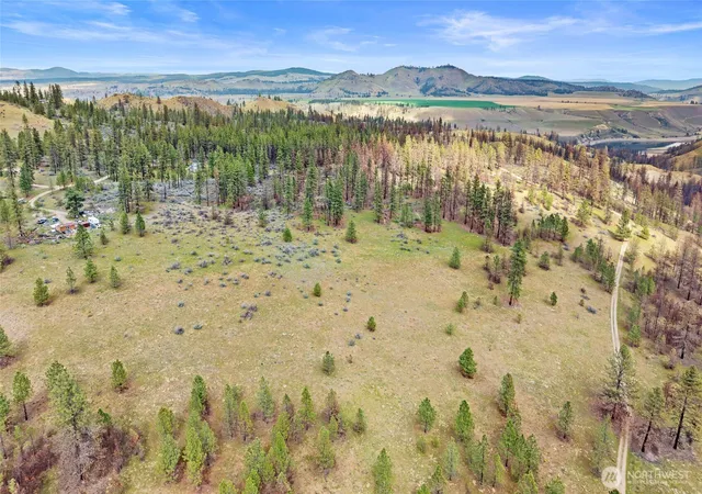 Photo 3 of Land for sale at 36480 Western Pines Dr N, Davenport, WA 99122 | MLS# NWM2510741 | Listing updated on 2026-09-21