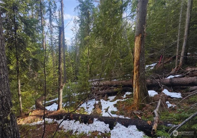 Photo 1 of Land for sale at 15839 Cedar Brae Rd, Leavenworth, WA 98826 | MLS# NWM2510812 | Listing updated on 2026-09-21