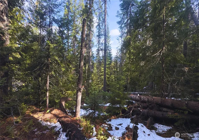 Photo 2 of Land for sale at 15839 Cedar Brae Rd, Leavenworth, WA 98826 | MLS# NWM2510812 | Listing updated on 2026-09-21