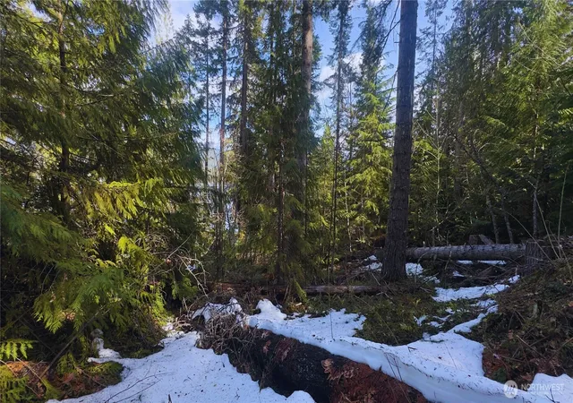 Photo 3 of Land for sale at 15839 Cedar Brae Rd, Leavenworth, WA 98826 | MLS# NWM2510812 | Listing updated on 2026-09-21