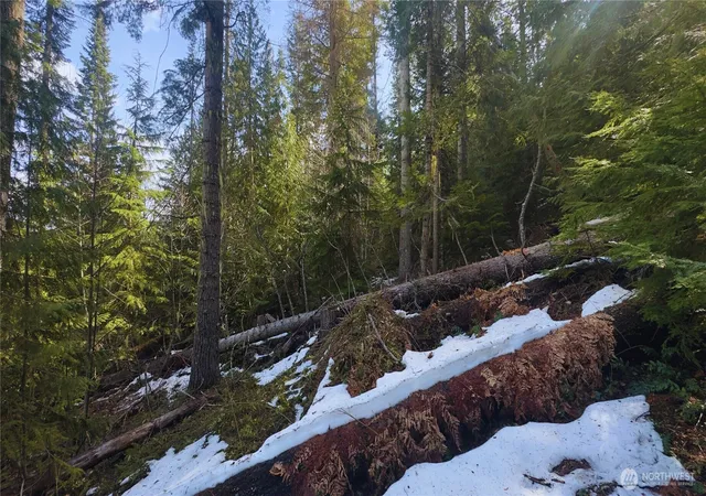 Photo 3 of Land for sale at 15839 Cedar Brae Rd, Leavenworth, WA 98826 | MLS# NWM2510812 | Listing updated on 2026-09-21