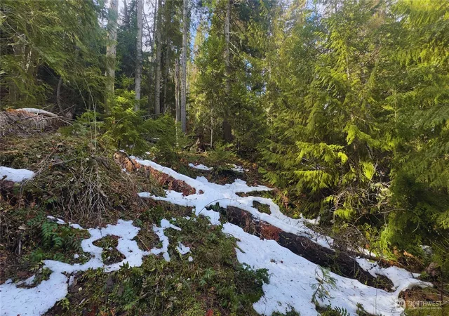 Photo 4 of Land for sale at 15839 Cedar Brae Rd, Leavenworth, WA 98826 | MLS# NWM2510812 | Listing updated on 2026-09-21