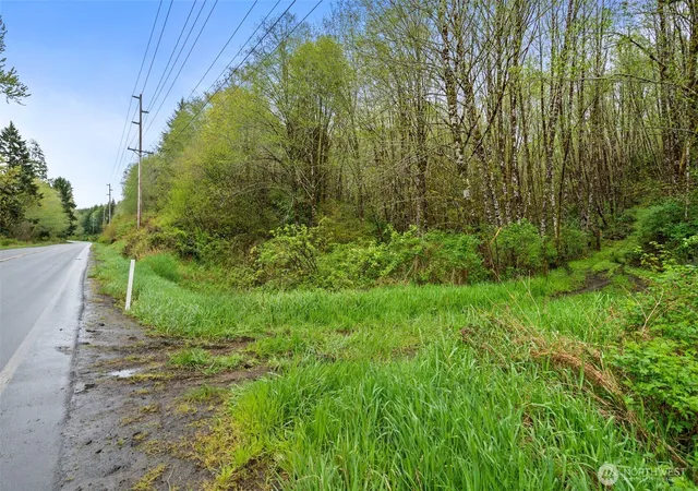 Photo 4 of Land for sale at 0 X State Route 107 Hwy, Montesano, WA 98563 | MLS# NWM2510832 | Listing updated on 2026-09-21