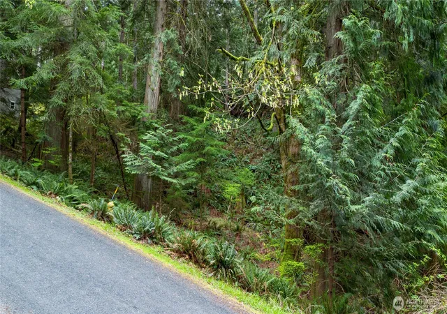 Photo 3 of Land for sale at 13 Wisteria Ln, Bellingham, WA 98229 | MLS# NWM2511022 | Listing updated on 2026-09-21