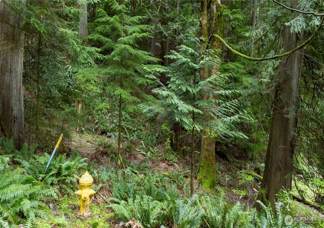 Photo 4 of Land for sale at 13 Wisteria Ln, Bellingham, WA 98229 | MLS# NWM2511022 | Listing updated on 2026-09-21
