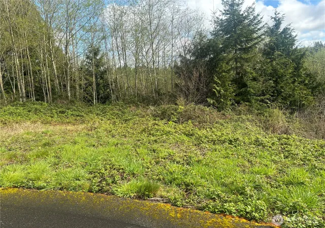 Photo 1 of Sale Pending at 10 Timber Ln, Elma, WA 98541 | MLS# NWM2511114 | Listing updated on 2026-09-23